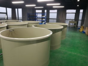 科創(chuàng)組團工業(yè)化淡水水產(chǎn)養(yǎng)殖研發(fā)中心矚目而成，引領(lǐng)水產(chǎn)養(yǎng)殖新篇章