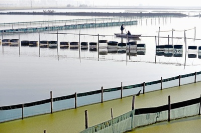 水產(chǎn)品養(yǎng)殖 技術(shù)與可持續(xù)發(fā)展的探索