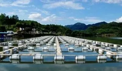 水產養(yǎng)殖業(yè)如何實現(xiàn)綠色發(fā)展 路徑、挑戰(zhàn)與未來展望