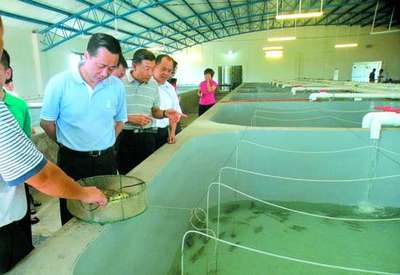 科技賦能，綠色養(yǎng)殖 探秘汕頭首座水循環(huán)“魚工廠”