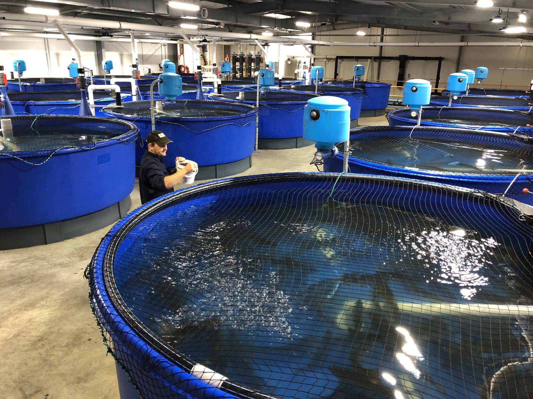 水質(zhì)、數(shù)據(jù)與環(huán)境 解析水產(chǎn)養(yǎng)殖行業(yè)的廣闊發(fā)展空間