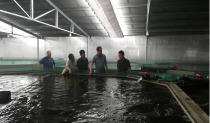 陽(yáng)澄湖鎮(zhèn)領(lǐng)導(dǎo)深入一線走訪水產(chǎn)養(yǎng)殖企業(yè) 助推產(chǎn)業(yè)高質(zhì)量發(fā)展