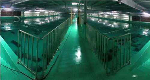 水產(chǎn)養(yǎng)殖綠色發(fā)展推動(dòng)漁業(yè)法修訂，海璟水產(chǎn)工廠化方案做加法賦能產(chǎn)業(yè)升級(jí)